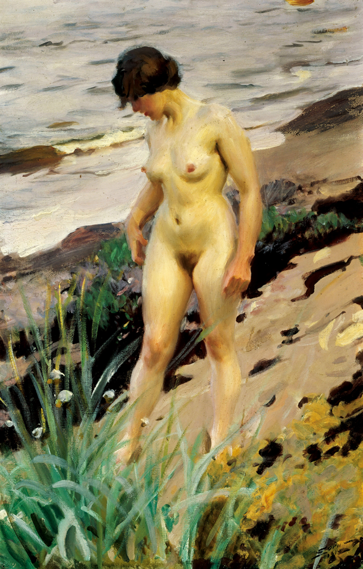  安德斯·莱奥纳德·佐恩 Anders Leonard Zorn —— 佐恩(油画) (2)